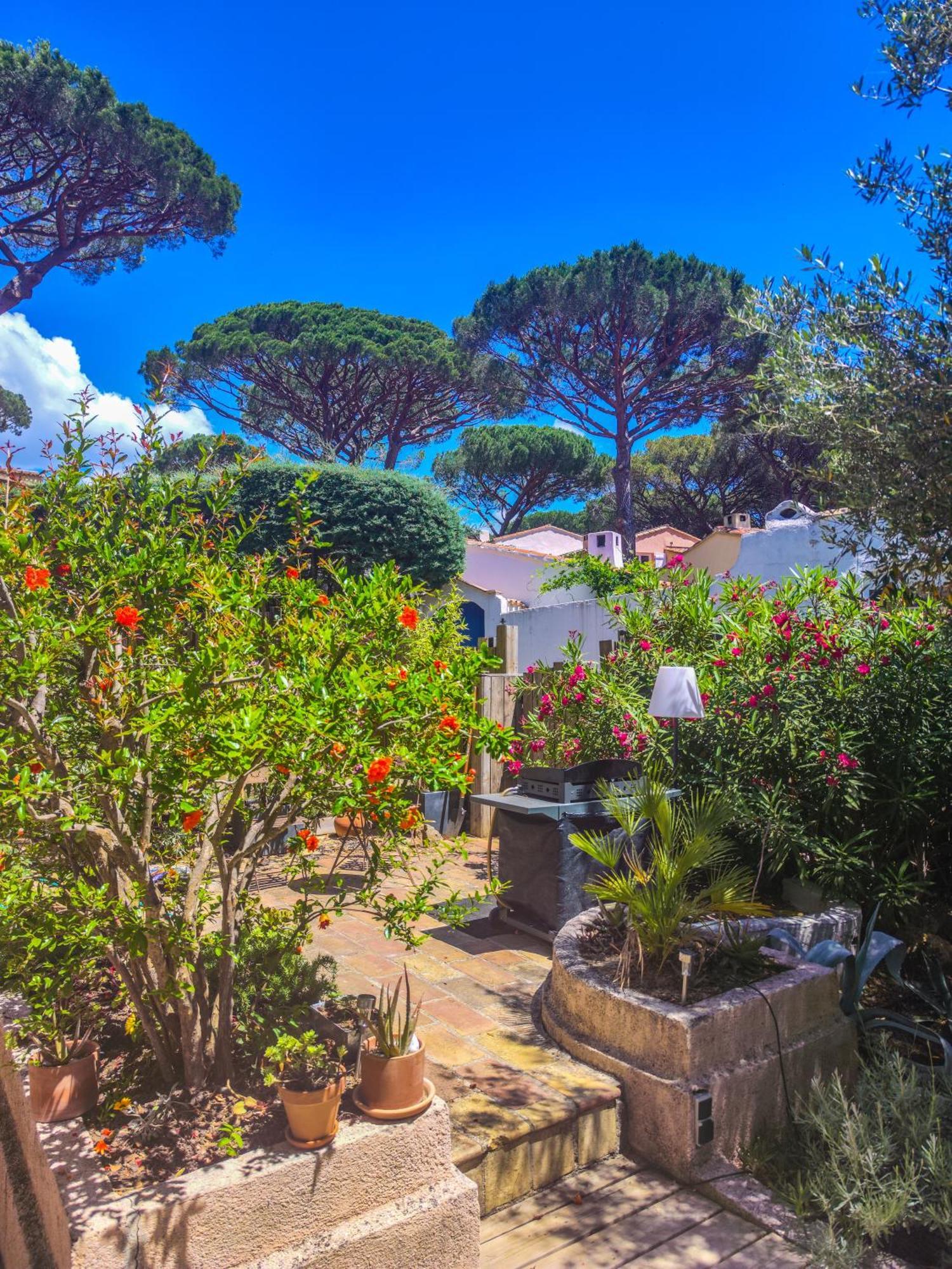 Villa Mazet clim vue St Tropez Sainte-Maxime Exterior foto